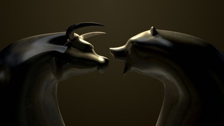 الثور/الدب (Shutterstock)